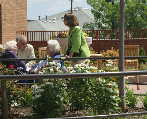 St. Patrick's Therapy Garden
