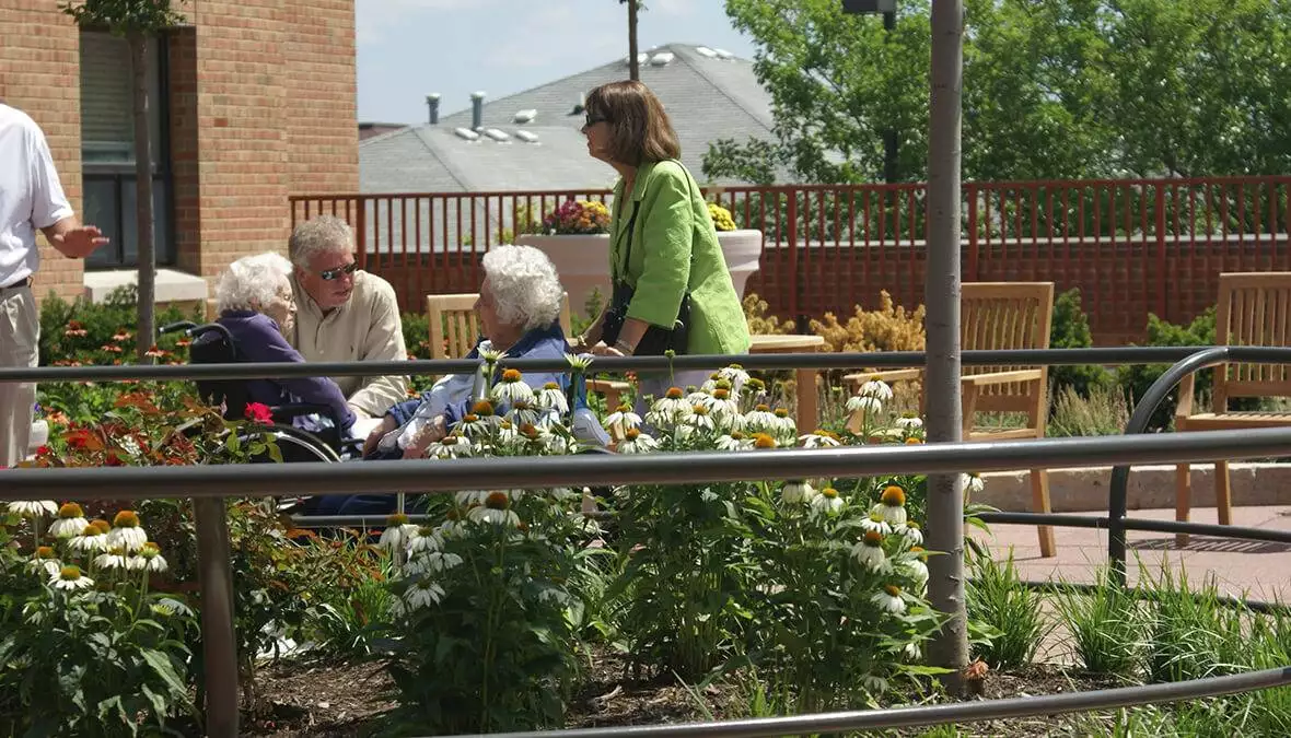 St. Patrick's Therapy Garden