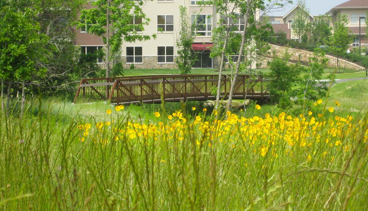 Tallgrass Creek