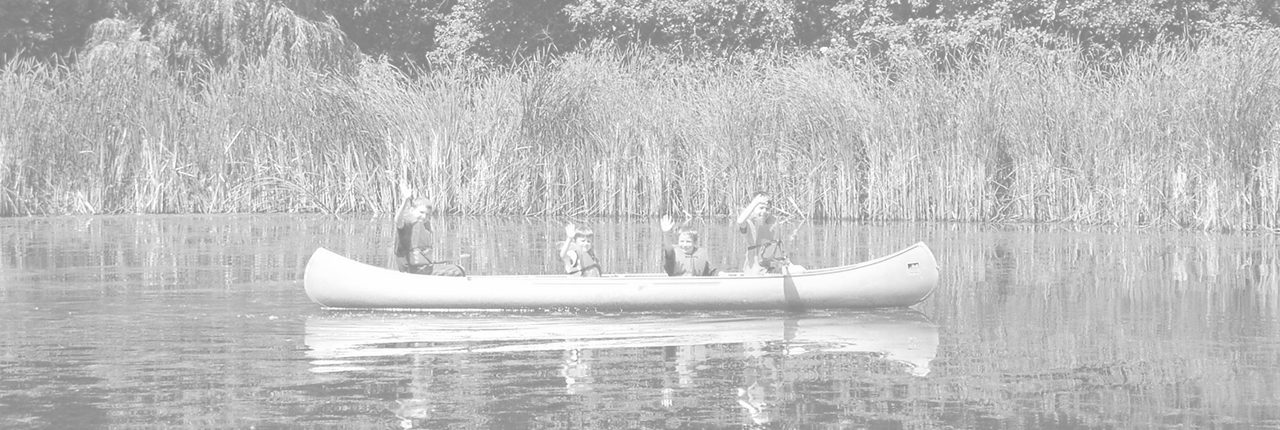 i-website-cover-bw